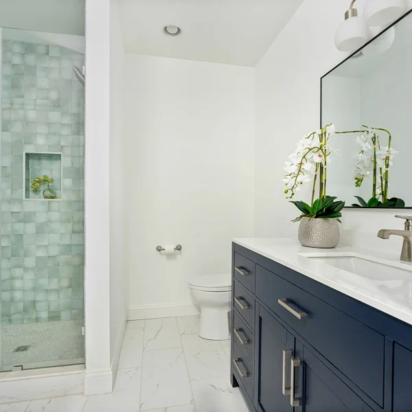 Oak Island Updated 8